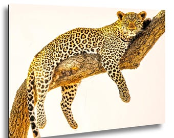 Leopard Wall Art: African Wildlife Photo - Safari Decor