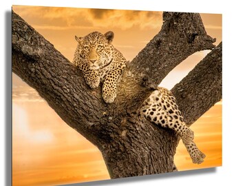 Estampado de leopardo salvaje - Decoración de pared grande estilo safari