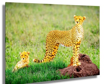 Geparden Familie Foto: Serengeti Großkatze (Wildlife Decor)