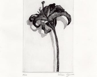 Originele prentkunst etsbloem