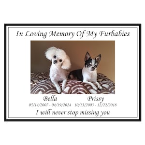 Memorial Photo Bench Plate For Humans and Pets. Bench Plaque, Urn Plaque, Tree Plaque,  Personalized commemorative marker