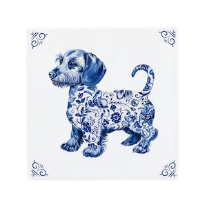 Wire-haired dachshund