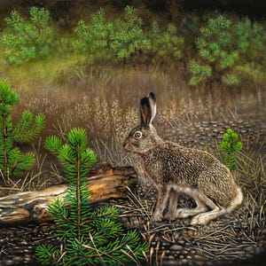 Pode incluir: Pintura a óleo de uma lebre marrom em um cenário natural. A lebre está perto de um tronco e pequenas árvores perenes. O fundo apresenta mais árvores perenes e capim alto. A pintura é assinada "J. Rybeck 19".