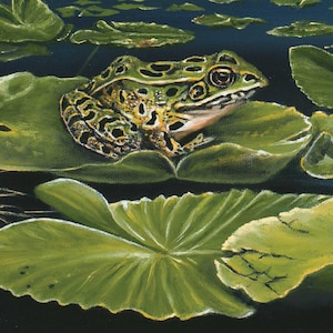 Frog Sitting on Lilly Pad Note Card with Envelope Included - Original Oil Painting by Tom Lybeck