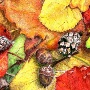 Notitiekaart met kleurrijke herfstbladeren en dennenappels en eikels verspreid op de bosbodem door kunstenaar Robin Lybeck