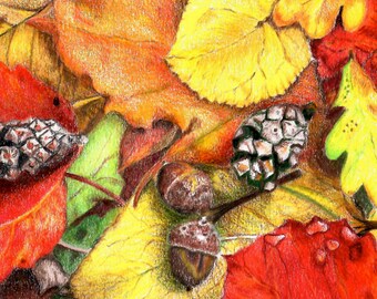 Fall Leaves Scattered on Forest Floor with Pinecones and Acorns Landscape - Archival Quality Giclee Print - Wall Art Home Decor
