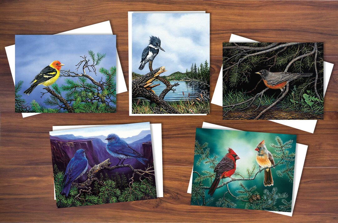 Bird Art Note Cards: Woodland Birds Set of 5 - Etsy