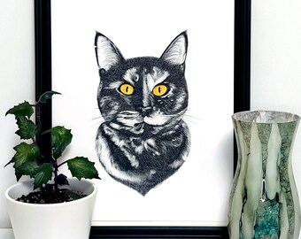 Gato tartaruga / Impressões artísticas
