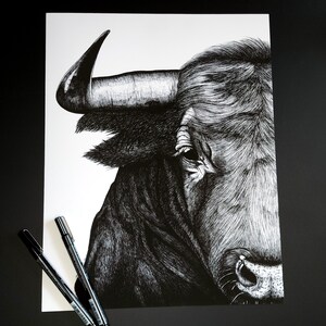 May include: A detailed black and white pen and ink drawing of a bull's head. The artwork captures the texture of the fur and the curve of the horn. Two black pens are placed on the white paper, adding a sense of scale and the tools used to create the art.