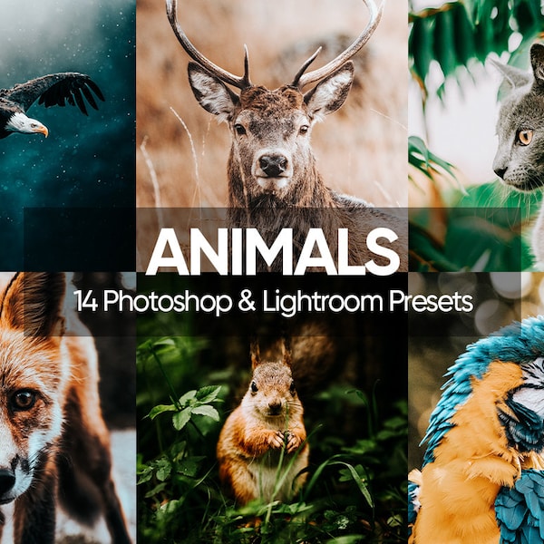 14 Tiere Lightroom Mobile & Desktop Presets, Haustier Presets, Katze Presets, Hund Presets, Vögel Presets, Makro Presets, Haustiere, Wildlife Presets