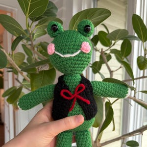 Szydełkowana pluszowa żaba Dapper