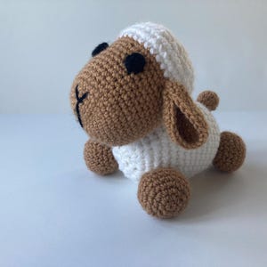 Sheep