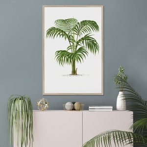 Vintage Palm Tree Printable Wall Art, Palm Tree Clipart, Tropical Greenery, Exotic Plants, Botanical Illustration, Digital Print Wall Decor