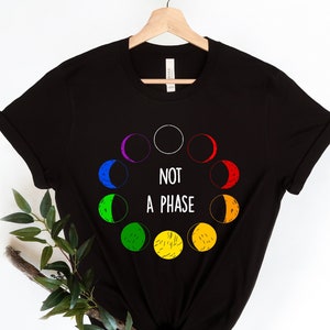 Bi Pride T-shirt, Not a Phase, bisexual shirts T-Shirt, Retro tee, LGBT Shirt, Love Wins,Lesbian Shirt, Rainbow Shirt,Queer Shirt, Gay Pride