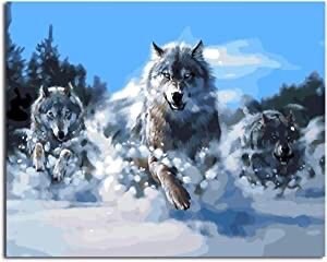 Paint by Numbers for Adults –16x20 inch(Without Frame), Wolf Family