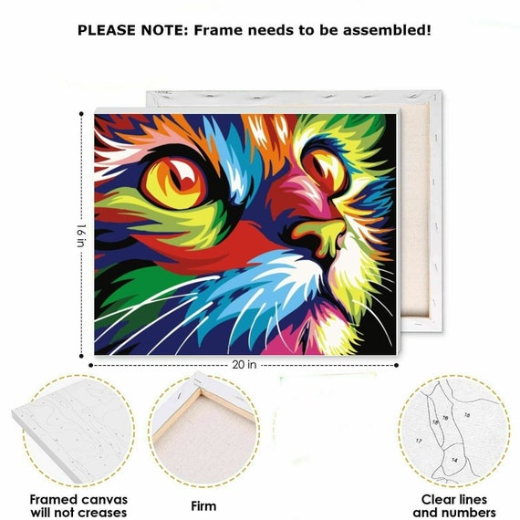 K-DIY Colourful Cat DIY Oil Acrylic Painting Kit Paint by Numbers