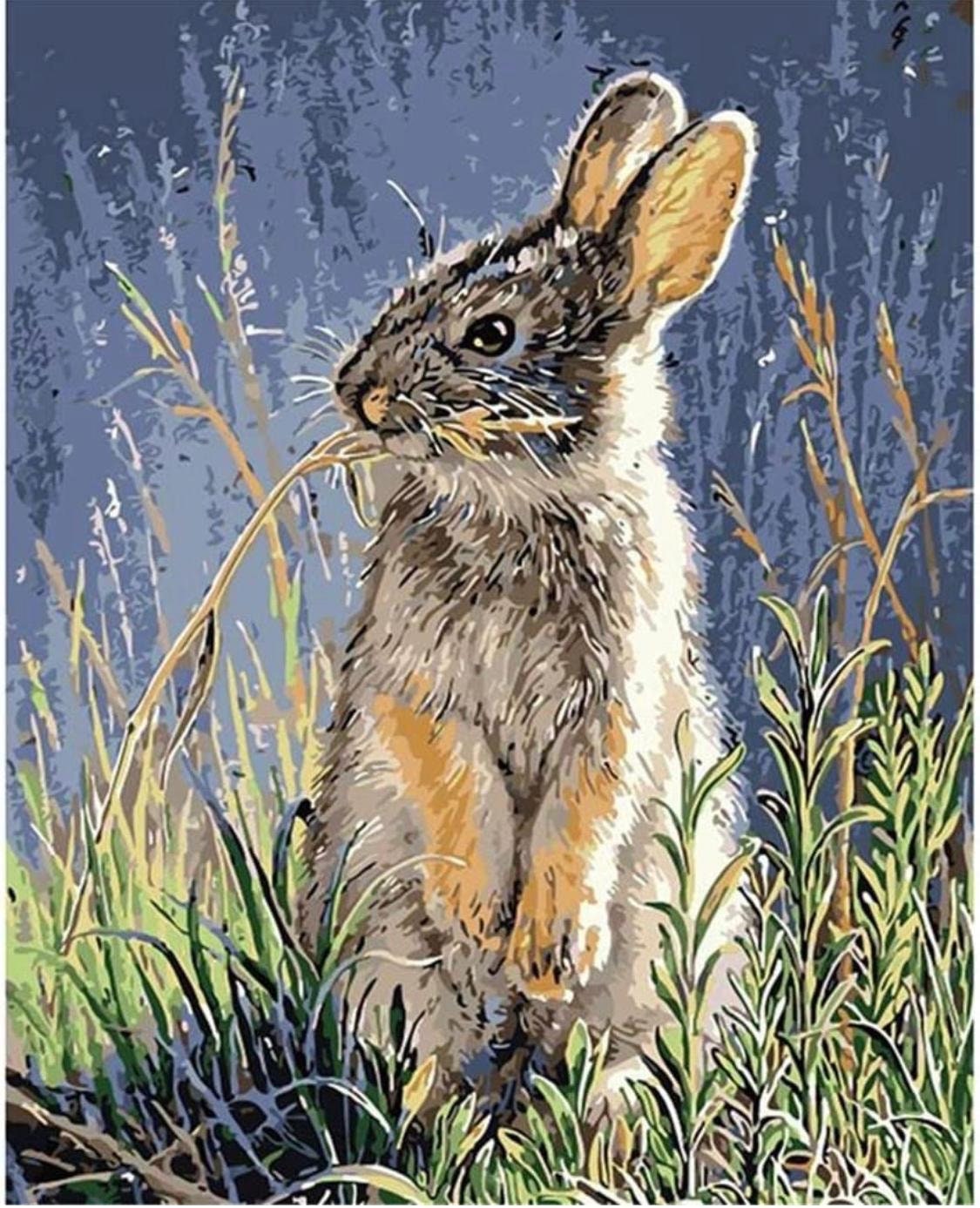Paint by Numbers Rabbit in Grass Field Painting by Numbers Kit for Adults Kids Beginners 40x50cm