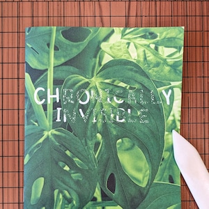 Chronically Invisible — Jessie Ziegenbein