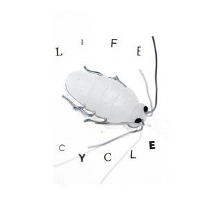 Life Cycle — Sculpture zine
