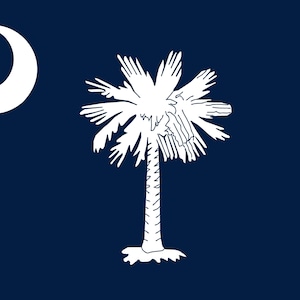 South Carolina State Flag Digital Design File SVG PNG PDF Official State Flag Printable Hi Res Vector Print On Demand
