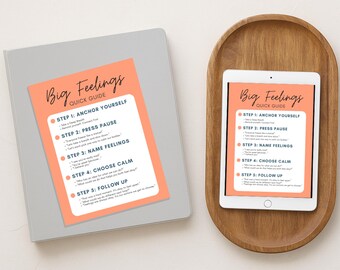 Big Feelings Quick Guide PRINTABLE - Instant Download