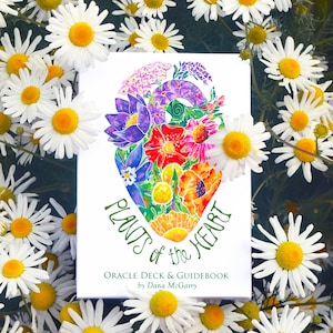 May include: A white rectangular oracle deck and guidebook box titled Plants of the Heart by Dana McGarry, featuring a colorful heart-shaped illustration made of various flowers and foliage, surrounded by a border of white daisy-like flowers.