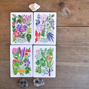 Puede incluir: Cuatro posavasos rectangulares blancos con dise&ntilde;os florales en acuarela y texto escrito a mano. Cada posavasos presenta una disposici&oacute;n diferente de flores y vegetaci&oacute;n coloridas. El texto en los posavasos dice "ancestral", "bankfull", "native" y "weeds".