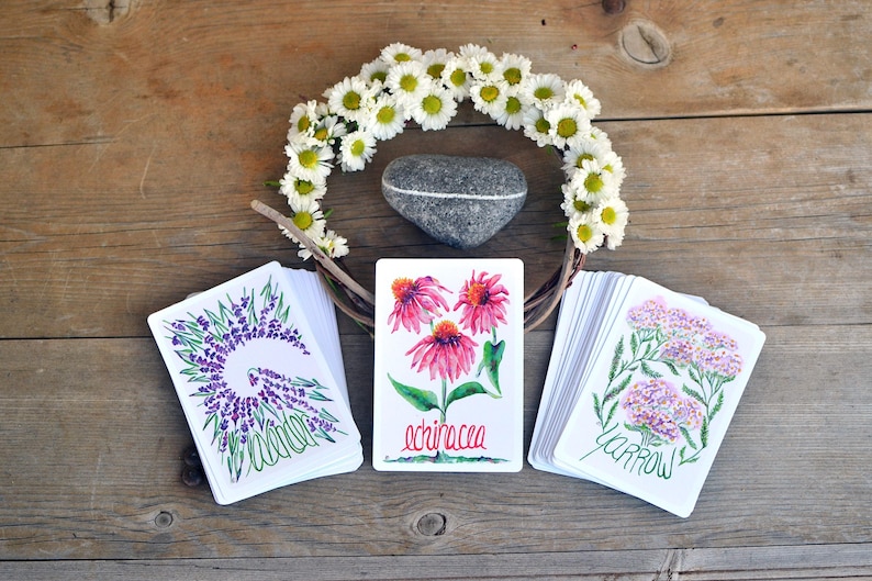 Puede incluir: Una composici&oacute;n con una corona de margaritas, una piedra gris y tres barajas de cartas. Las cartas muestran ilustraciones en acuarela de lavanda, equin&aacute;cea y milenrama. La palabra "echinacea" est&aacute; escrita en una carta.