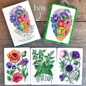 Puede incluir: Una baraja de or&aacute;culo y una gu&iacute;a titulada "Plants of the Heart" con ilustraciones en acuarela de flores y plantas. La baraja incluye cartas con im&aacute;genes de amapolas, toronjil y cardo. La caja y las cartas tienen un fondo blanco.