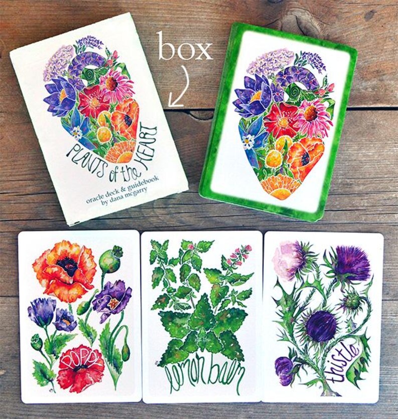 Puede incluir: Una baraja de or&aacute;culo y una gu&iacute;a titulada "Plants of the Heart" con ilustraciones en acuarela de flores y plantas. La baraja incluye cartas con im&aacute;genes de amapolas, toronjil y cardo. La caja y las cartas tienen un fondo blanco.