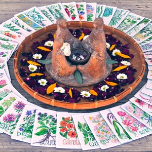 Puede incluir: Una disposici&oacute;n circular de tarjetas bot&aacute;nicas ilustradas rodea una cesta tejida. La cesta contiene una escultura central, flores y p&eacute;talos. Las tarjetas presentan ilustraciones florales y nombres bot&aacute;nicos manuscritos.