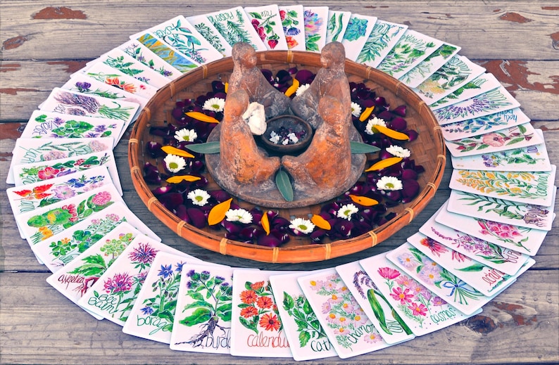 Puede incluir: Una disposici&oacute;n circular de tarjetas bot&aacute;nicas ilustradas rodea una cesta tejida. La cesta contiene una escultura central, flores y p&eacute;talos. Las tarjetas presentan ilustraciones florales y nombres bot&aacute;nicos manuscritos.