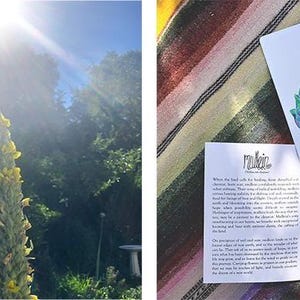 Puede incluir: Una planta alta con flores amarillas se encuentra a la luz del sol, con &aacute;rboles al fondo. Una tarjeta blanca con una ilustraci&oacute;n de acuarela de plantas azules y verdes y la palabra "mullein" est&aacute; junto a un folleto abierto.