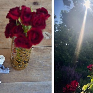 Puede incluir: Naturaleza muerta con un ramo de rosas rojo oscuro en un jarr&oacute;n decorativo, una impresi&oacute;n art&iacute;stica floral y piedras decorativas sobre una superficie de madera. La impresi&oacute;n art&iacute;stica representa una rosa roja con la palabra "rosa" debajo. La segunda imagen muestra rosas en un jard&iacute;n.