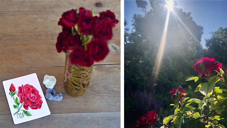 Puede incluir: Naturaleza muerta con un ramo de rosas rojo oscuro en un jarr&oacute;n decorativo, una impresi&oacute;n art&iacute;stica floral y piedras decorativas sobre una superficie de madera. La impresi&oacute;n art&iacute;stica representa una rosa roja con la palabra "rosa" debajo. La segunda imagen muestra rosas en un jard&iacute;n.