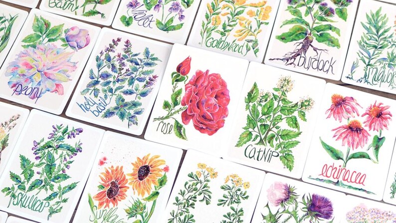 Puede incluir: Una colecci&oacute;n de tarjetas de arte bot&aacute;nico en acuarela con diversas flores y hierbas. Cada tarjeta muestra una ilustraci&oacute;n detallada de una planta, con etiquetas manuscritas como "peon&iacute;a", "rosa" y "hierba gatera".