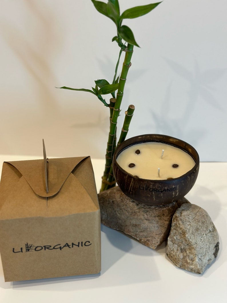 Handmade Candle Christmas Candle Soy Wax Candle Coconut Shell Eco