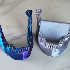 Phone Display Stand Holder | Skull/Jawbone Shaped | For Cell Phone/Smartphone/Mobile Phones/Phablet | Desk Decor | 3D-Printed | Made in USA