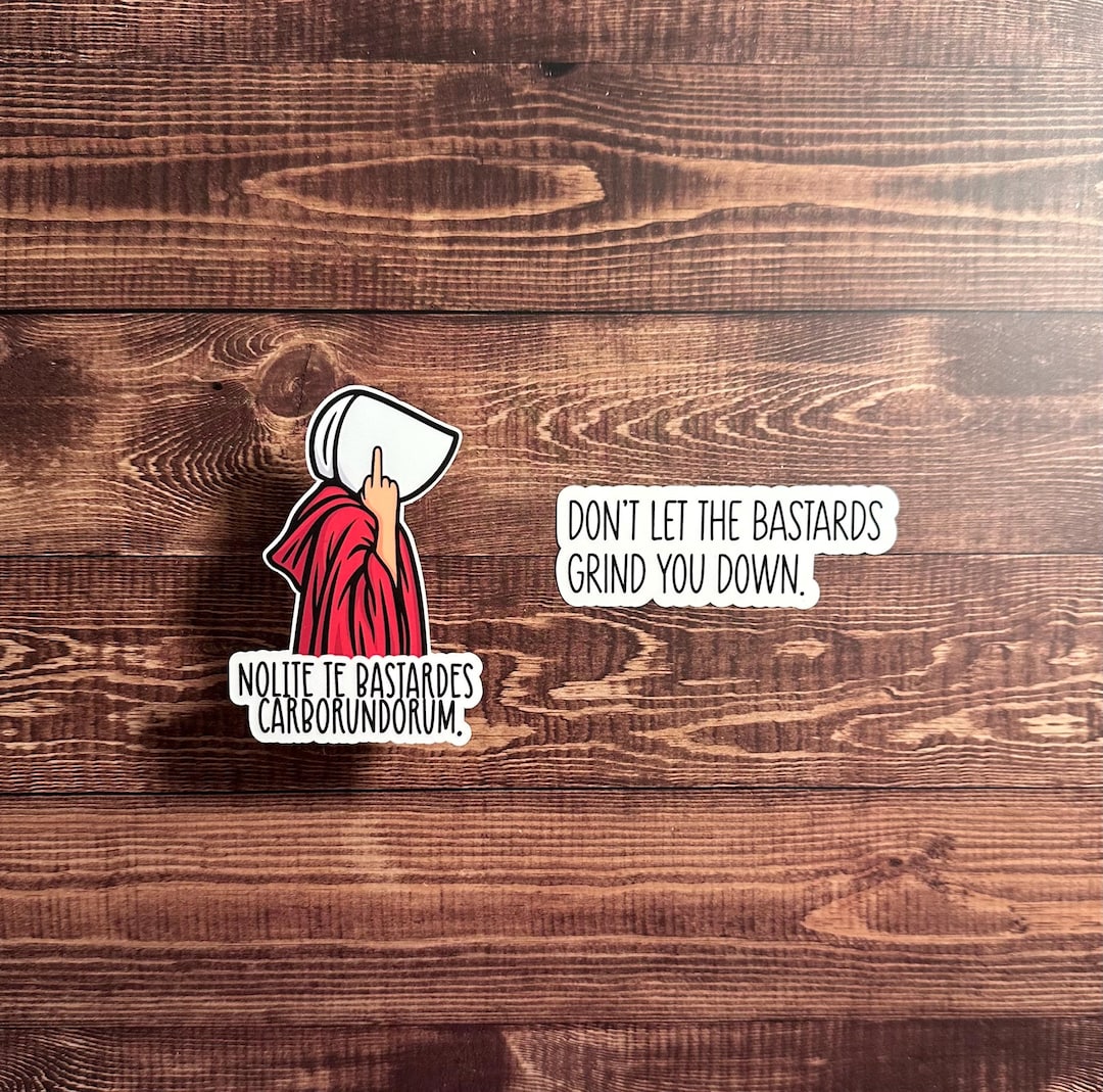 Don’t Let the Bastards Grind You Down | Set of 2 | Handmaids Tale ...