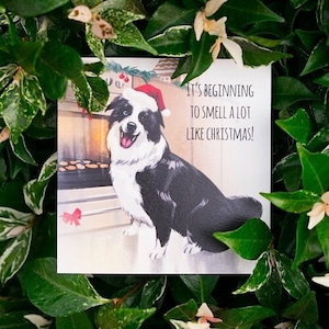 Riecht wie Weihnachten - Border Collie Weihnachtskarte