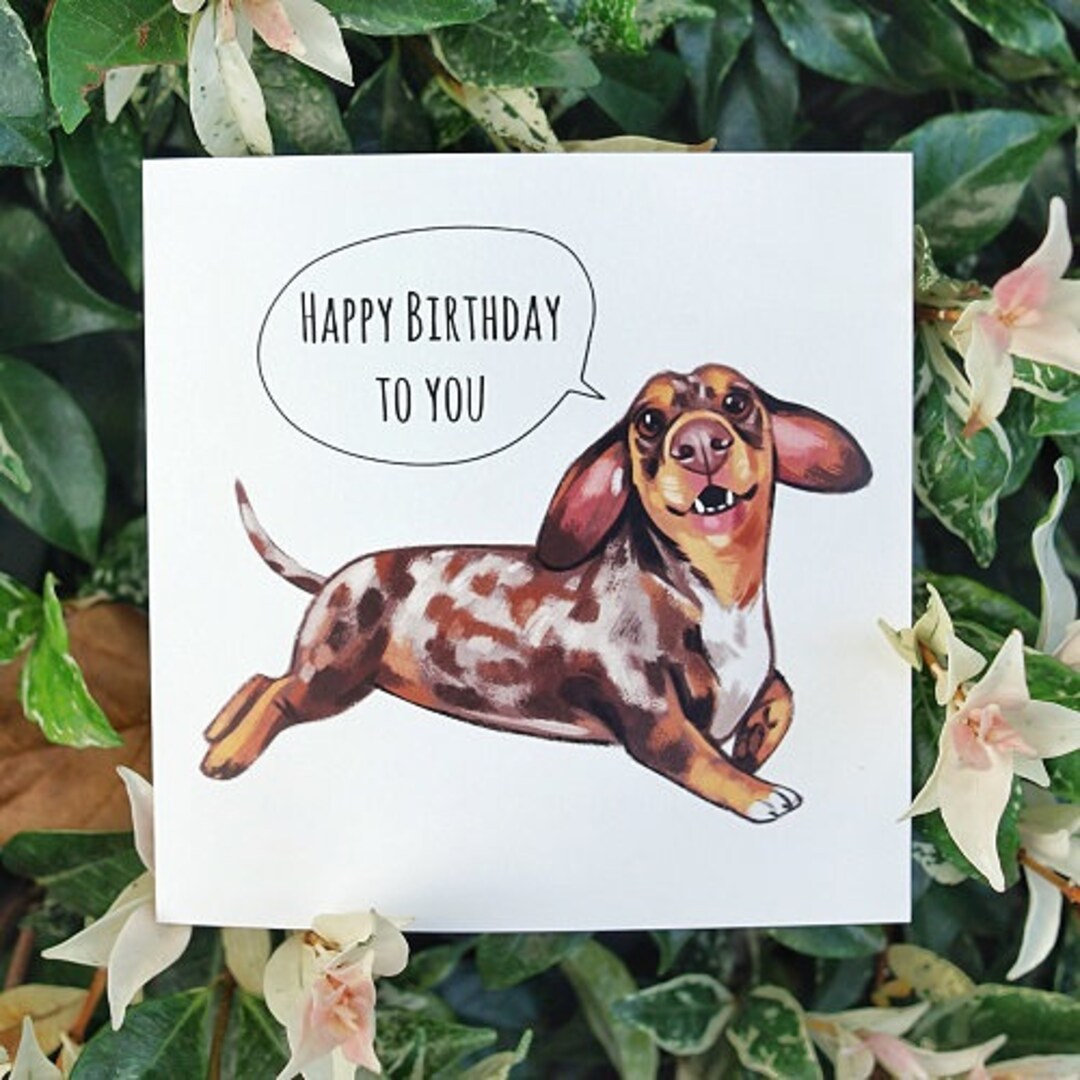 Dachshund Happy Birthday Greeting Card - Sausage Dog Lover Gift - Etsy