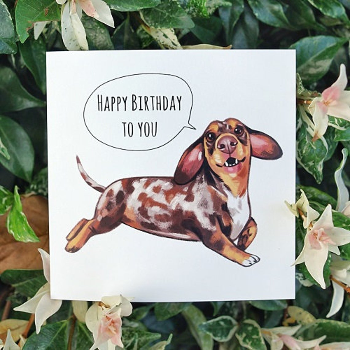 Dachshund Happy Birthday Greeting Card - Sausage Dog Lover Gift - Etsy