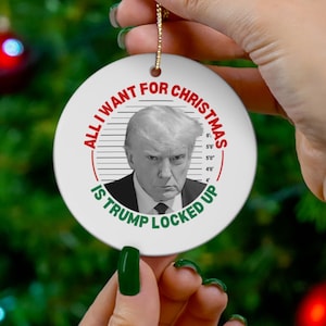 Trump Christmas Ornament, Trump Mugshot Ornament, Trump Gag Gifts, Funny Trump Gifts, Lock Him Up, Trump for Prison, Christmas Decor 2024