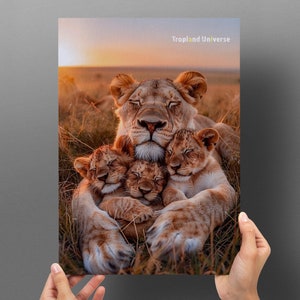 May include: A lioness with her three cubs, all with their eyes closed, nestled together in a field of long grass. The lioness is lying on her side, with her cubs snuggled up to her. The background is a soft, golden sunset.