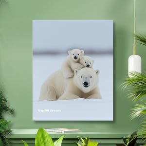 Momma Bear and Cub - Animal bear poster wall art Instant Digital Download, Gift For Bear Lover, Modern Wall Art, For Wildlife Lovers