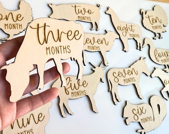 Farm Animals Wooden Monthly Milestone Markers for Baby Photos, Unique Barnyard Nursery Milestone Set, Rustic Baby Shower Personalized Gift