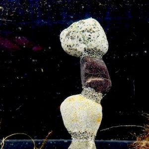 Natural Aquarium Decor Quartz and Stone Tower (BL1)