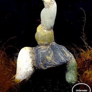 Natural Stone Aquarium Cave B3 Fish Safe