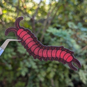 Centipede Sticker, Fall Bugs, Waterproof Matte Vinyl, Gift
