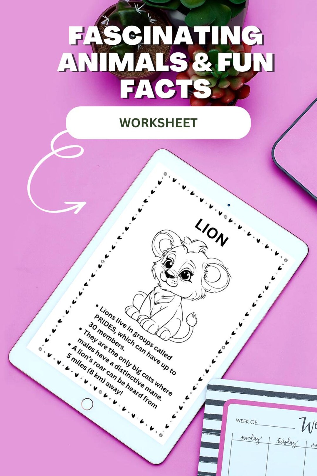 Fascinating Animals & Fun Facts Worksheet – Digital Download ...